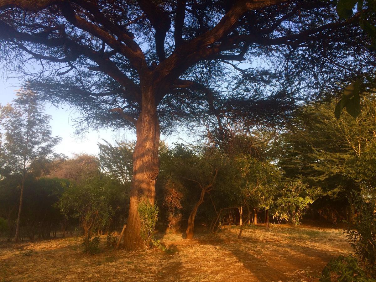 Amboseli Eco Camp Villa Exterior photo
